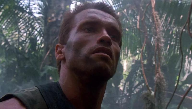 Арнольд Шварценеггер готов вернуться во франшизу "Хищник"