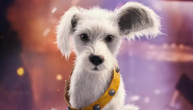 "Супергерл" установила рекорд в тестовых показах и разных финалах