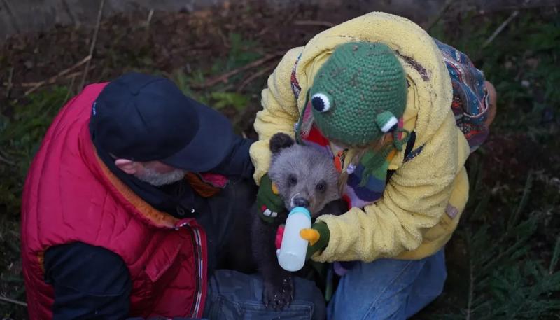 Начались съемки семейной комедии "Мой папа - медведь 2"